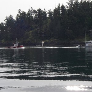 Assisting Vessel Assist!