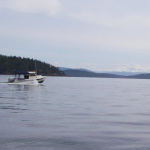 Bambina and Mt Baker