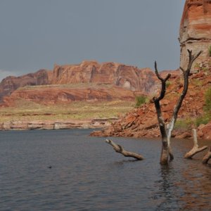 Cactus Juice Cove after the storm