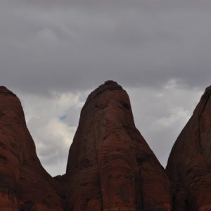 Closeup of the Elephants