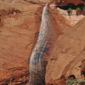 Some made strange curves