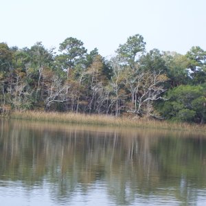 Media 'Apalachicola River' in album 'Apalachicola'