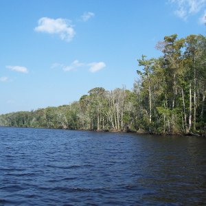 Media 'Apalachicola River' in album 'Apalachicola'