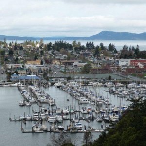 Beautiful view of Cap Sante Marina..Anacortes