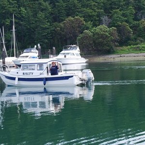 Media 'In the Marina at Cap Sante' in album 'Our first day of ownership of Salty....we are so excited....in dry dock now but not for long!'