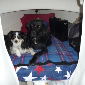 Tess & Annie..Boat Bums