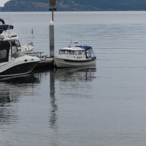 JONES ISLAND 2013