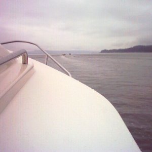(Ruth & Joe) Way off in the distance the two small specks are Bambina & Da Nag on their way to Seattle.
