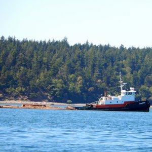 A tugboat pulling a raft of logs