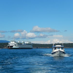 Robbie's Refuge with Washington State ferry behind, heading for Friday Harbor