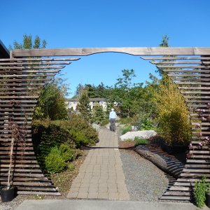 Media 'Lyle entering the patio of the Backdoor Kitchen, a renowned restaurant in Friday Harbor' in album 'Neil in Rose Bud II (right) and Rob in Robbie's Refuge (center,back), 
at dock in Cornet Bay near Anacortes, WA, 
waiting to cross to Friday Harbor in the San Juan Islands'