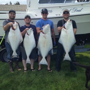 saturday limits 5/14
