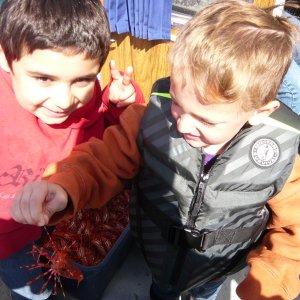 ben and orin 2014 shrimp