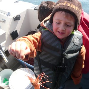 Benny helping with the catch 2014 shrimp