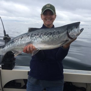 0coho1