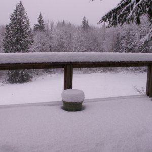 Media 'Snow on Back Deck 12-25-08 (Resized)' in album 'Daydream in the Snow 12-25-08 (Resized)'