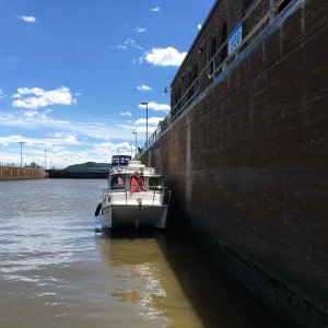 C-Lark on the wall at Lock 22.