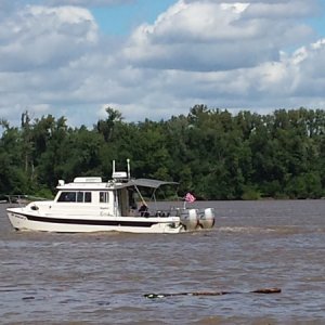 Media 'C-Lark dodging logs on the Mississippi River near Hannibal, MO.' in album 'Joyce on Pelican honoring Bruce'