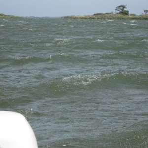 it was not this windy at the house.