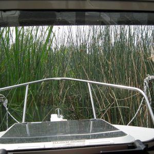 Doing the Tule tie. the bow is in 2ft of water and the stern in 8ft. The wind passes over the top.