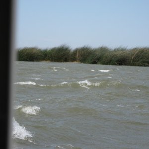It is still windy on Saturday.