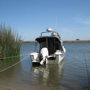 On this side it is sunny and calm. A bow anchor and stern tie to the tree.