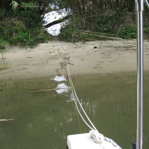 Okay, the water is brownish green, and the sand is not white, but there is bamboo and  it is out of the wind.