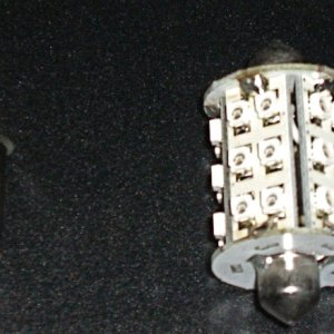 Marinebeam.com Bulbs