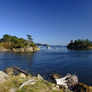 Moorage at Ewing Island