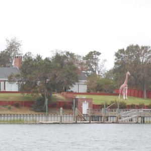 This was along the ICW north of Wrightsville Beach