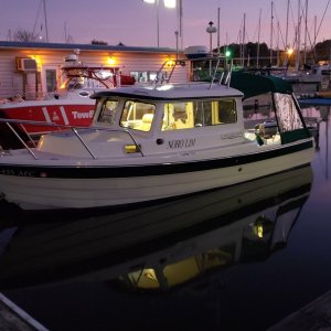 Green Turtle Marina Barkley Lake