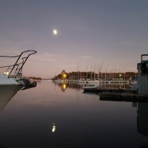 Media 'Green Turtle Marina Barkley Lake Sunset' in album 'Green Turtle Marina Barkley Lake'