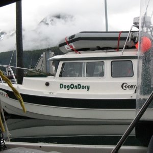 DogOn Dory in Cordova