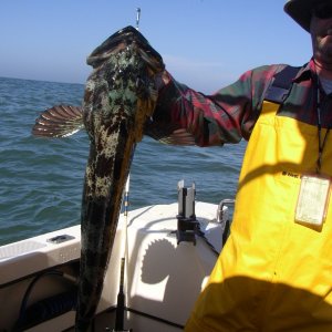 Now that is what I am here to catch.