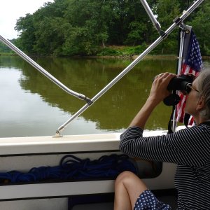 anchored up the bohemia river