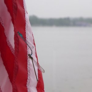 P1170672
