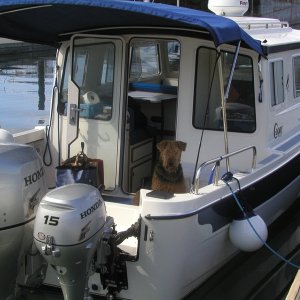Winston waiting patiently