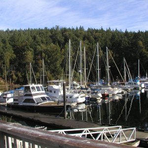 Otter Bay Marina