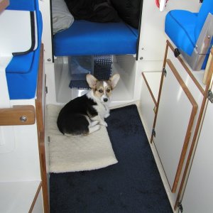 (C-Puffin) Checking out her nap spot