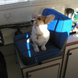 (C-Puffin) Trying to figure out how to drive the boat