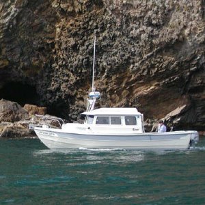 Fishtales at Santa Cruz Island
