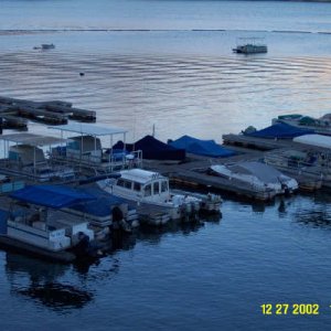 Fishtales at the dock