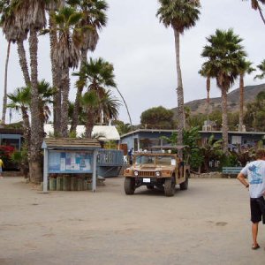 (Fishtales) Downtown Two Harbors- Catalina