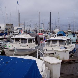 Fishtales & Sea3PO at the dock in Santa Barbara