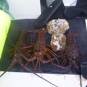 Eatin\' good in the neighbourhood