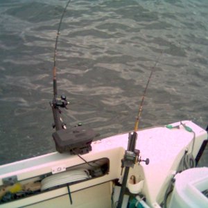Starboard side Downrigger