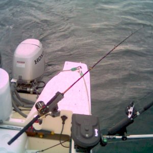 Port side Downrigger. Same setup on the starboard side.