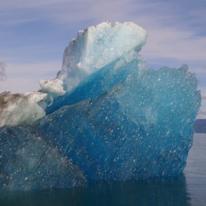 We loved the colors and shapes of the bergs. This one in Endicott Arm