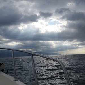 New Years Day 2016 Heading back to Carmel for another day of diving