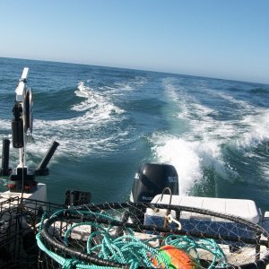 8 Miles out the Golden Gate
